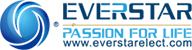 everstar electronics logo