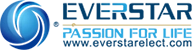 Everstar logo displayed alongside ASC Global branding, highlighting ASC Global as an authorized distributor of Everstar products.